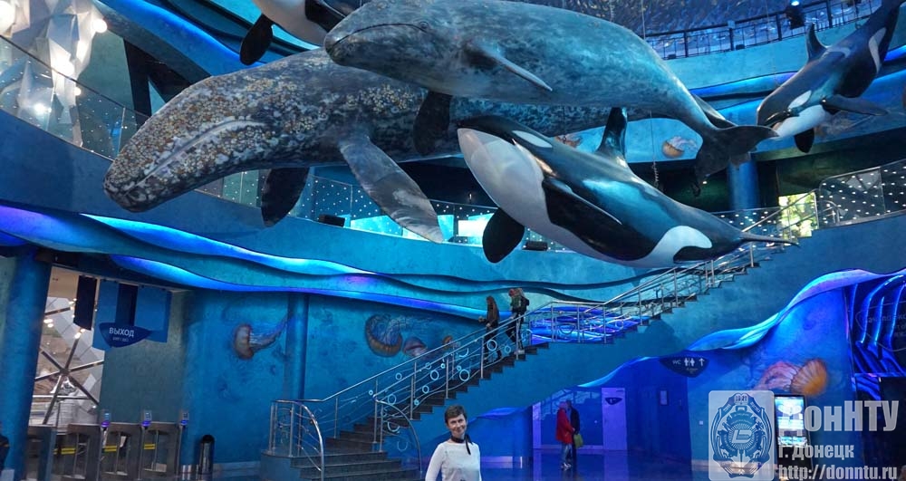 Экскурсия в Океанариум, о-в Русский