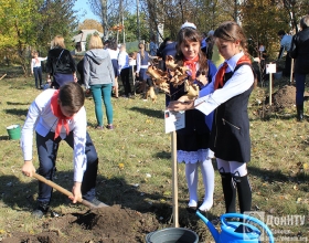 Школьники сажают деревья дуба