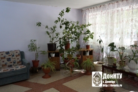 Зеленый уголок в холле пятого общежития